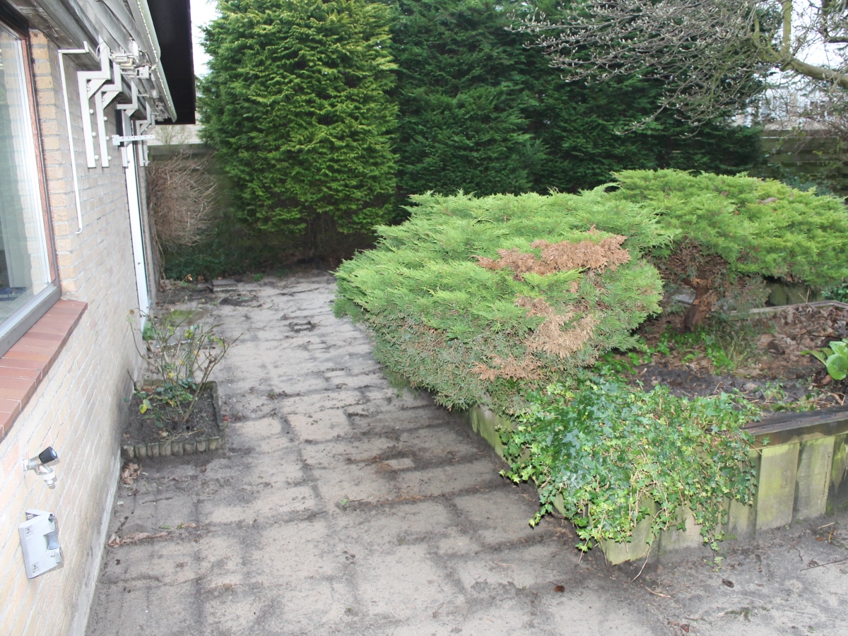 Achtertuin before.jpg
